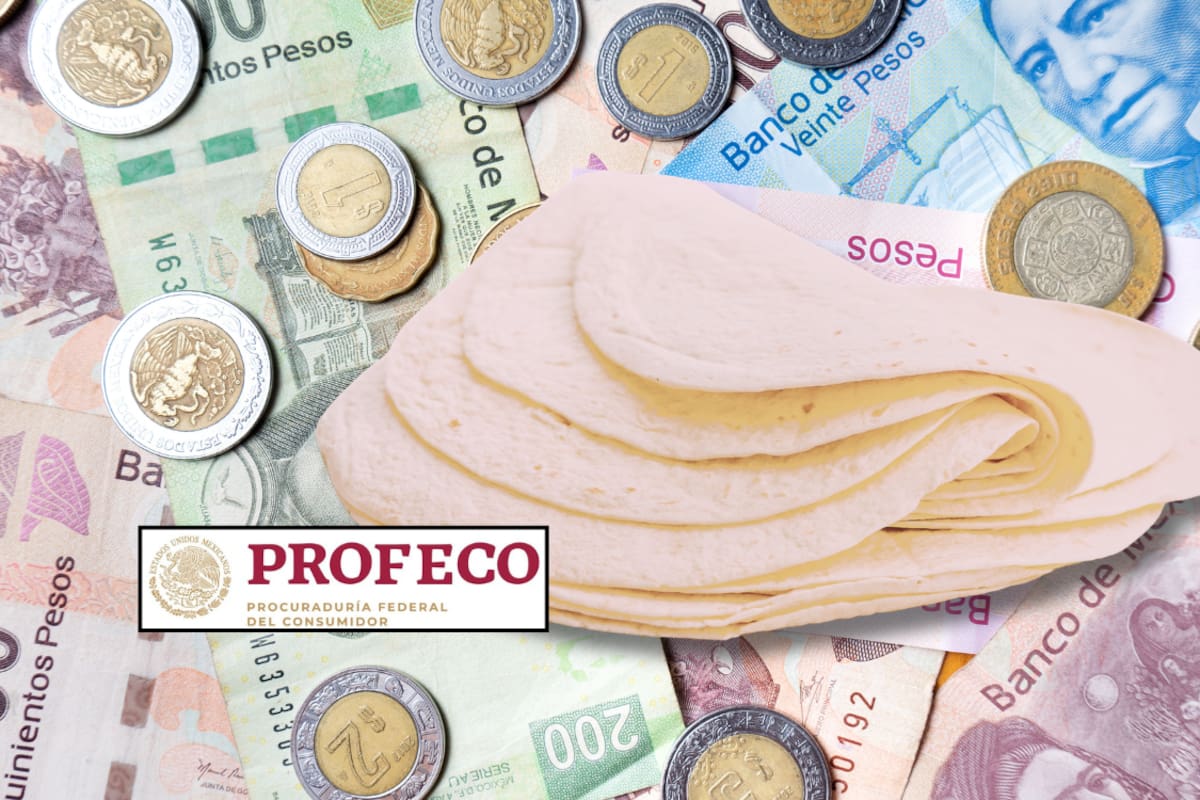 ¿Hay aumento de 5 pesos en el kilo de tortilla? Esto es lo que se sabe