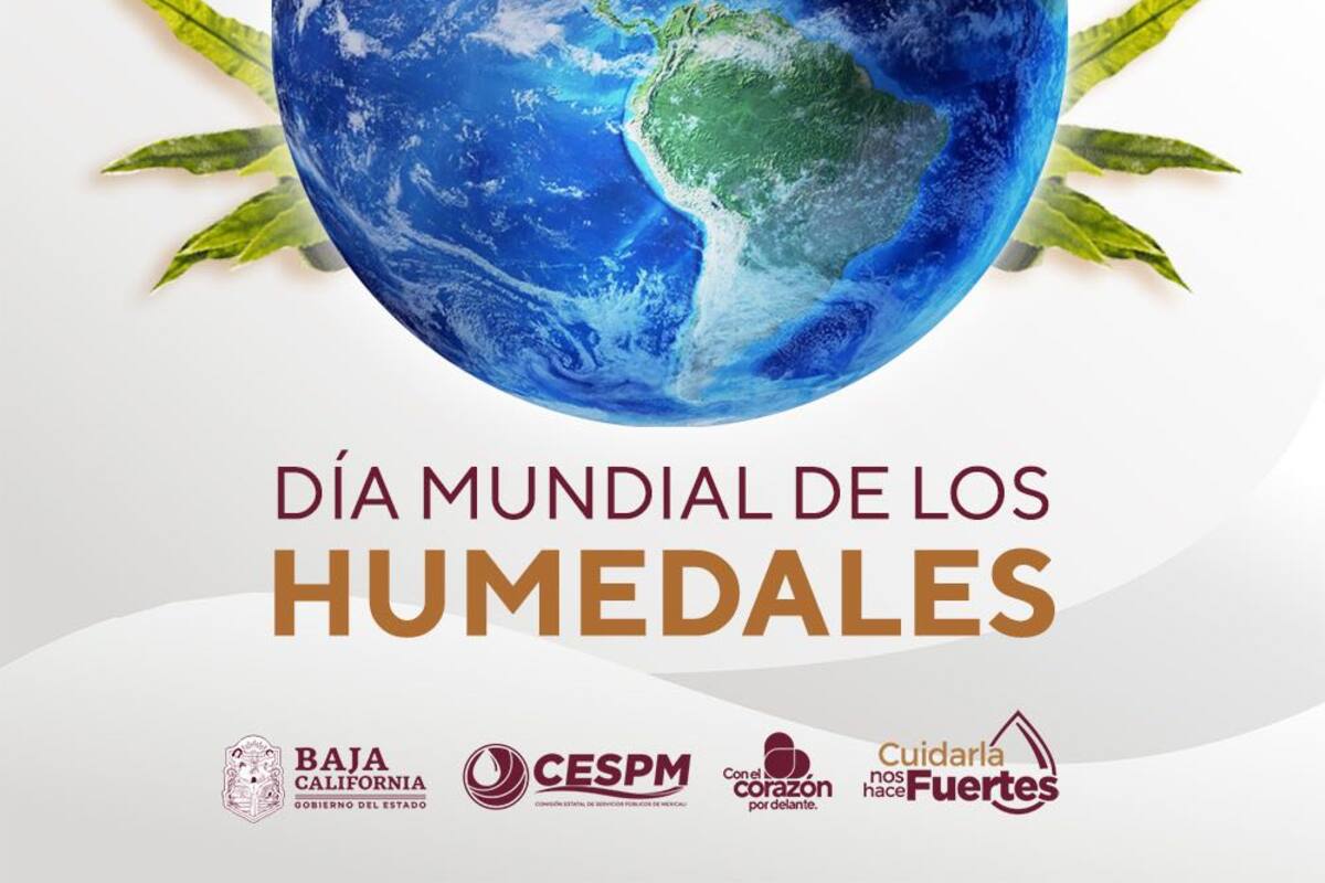 “Las Arenitas”, un refugio de biodiversidad y sostenibilidad: Cespm