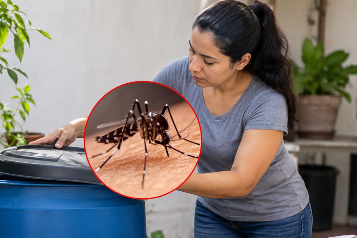 Secretaría de Salud llama a prevenir el dengue desde casa: estas son las acciones para evitar criaderos de mosquitos