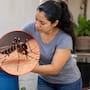 Secretaría de Salud llama a prevenir el dengue desde casa: estas son las acciones para evitar criaderos de mosquitos