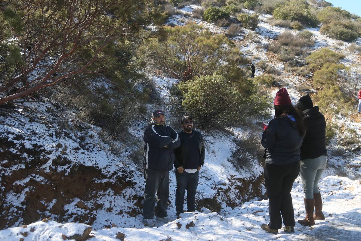 Este primero de enero el poblado después de la caída de nieve, el poblado de La Rumorosa registro un gran numero de afluencia.