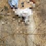 Localizan a hombre sin vida y con un narcomensaje en el cuerpo en el Corredor 2000