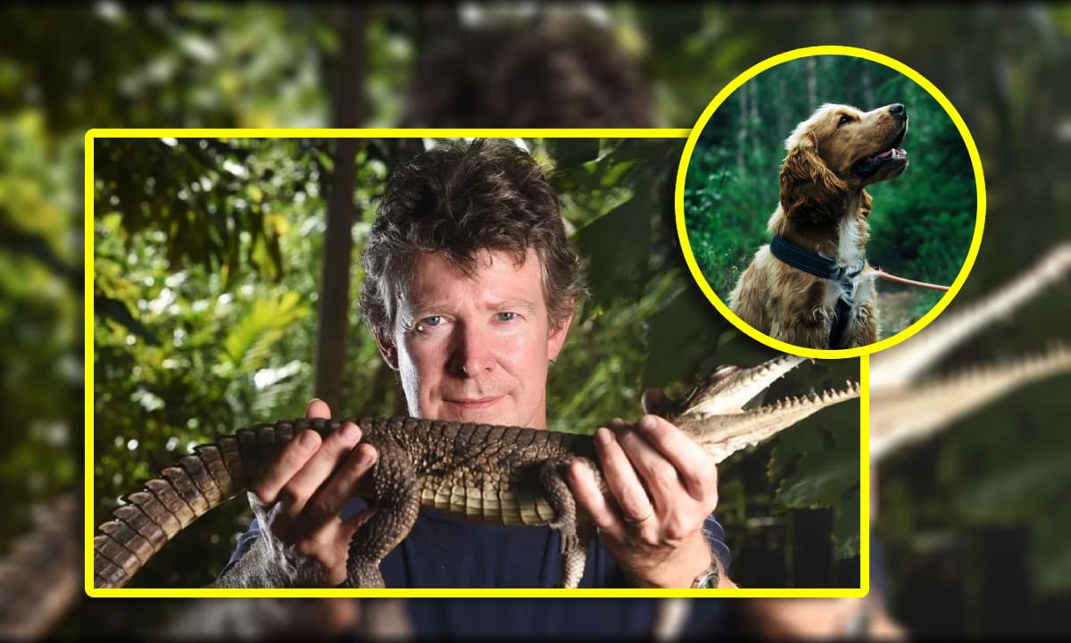 Adam Britton, un experto en cocodrilos y excolaborador de la BBC, tenía una vida secreta. Foto: Especial