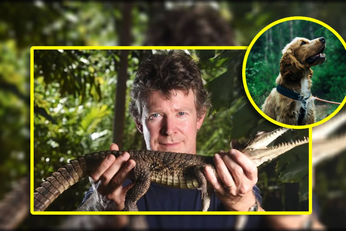 Experto en cocodrilos grababa “videos sádicos” violando, torturando y matado perros; es sentenciado a 10 años de cárcel por bestialidad