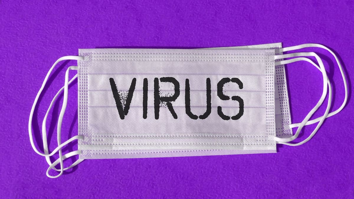 Virus Shamonda en Europa: Síntomas en el ganado, transmisión y riesgos reproductivos