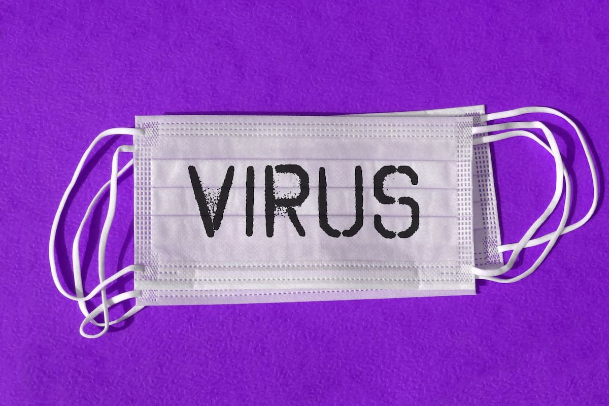 Virus Shamonda en Europa: Síntomas en el ganado, transmisión y riesgos reproductivos