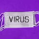 Virus Shamonda en Europa: Síntomas, tranmisión y riesgos