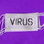 Virus Shamonda en Europa: Síntomas en el ganado, transmisión y riesgos reproductivos