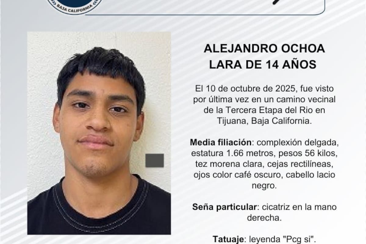 Se busca a Alejandro Ochoa Lara de 14 años