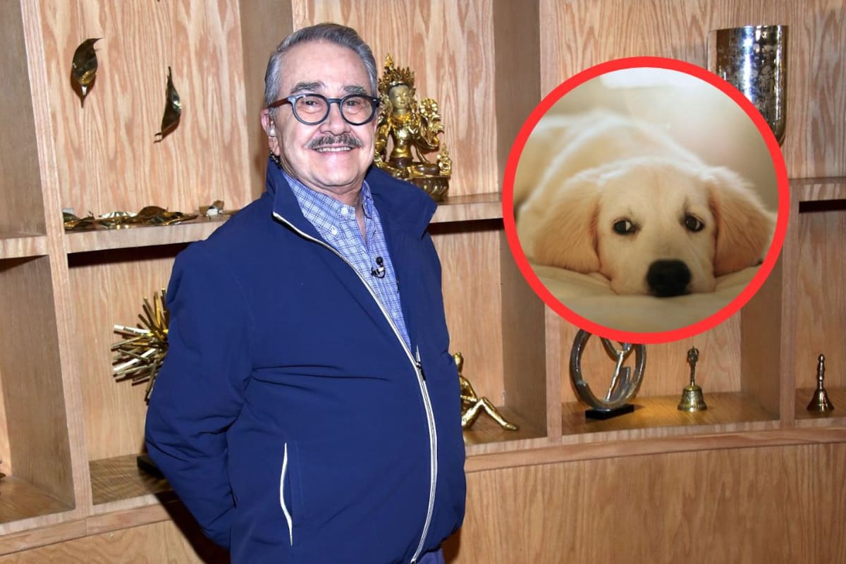 Resurge video de Pedro Sola de 2022 en el que proponía cortar las cuerdas vocales a perros en medio de acusaciones de presunta apología al maltrato animal