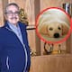 Resurge video de Pedro Sola de 2022 en el que proponía cortar las cuerdas vocales a perros en medio de acusaciones de presunta apología al maltrato animal