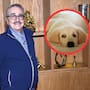Resurge video de Pedro Sola de 2022 en el que proponía cortar las cuerdas vocales a perros en medio de acusaciones de presunta apología al maltrato animal