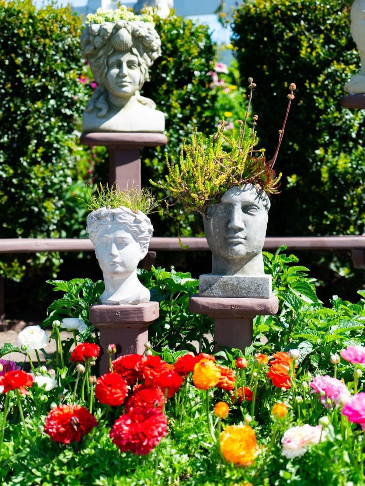 Desde el domingo 1 de marzo y hasta el 10 de mayo, este espectáculo de la naturaleza estará abierto al público. Foto: Cortesía