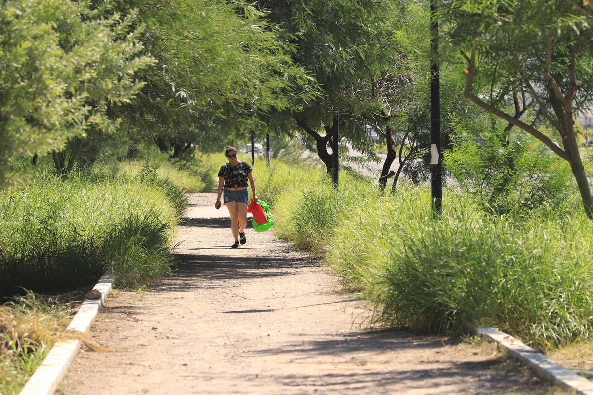 Preocupa dengue a cajemenses ante repunte de casos