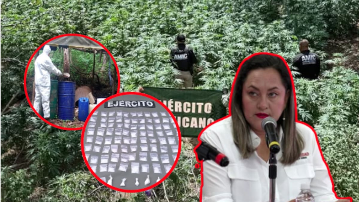 Explosivos, drogas y miles de armas: el año más violento en Sinaloa deja 1,703 detenidos y más de 6,000 plantíos destruidos