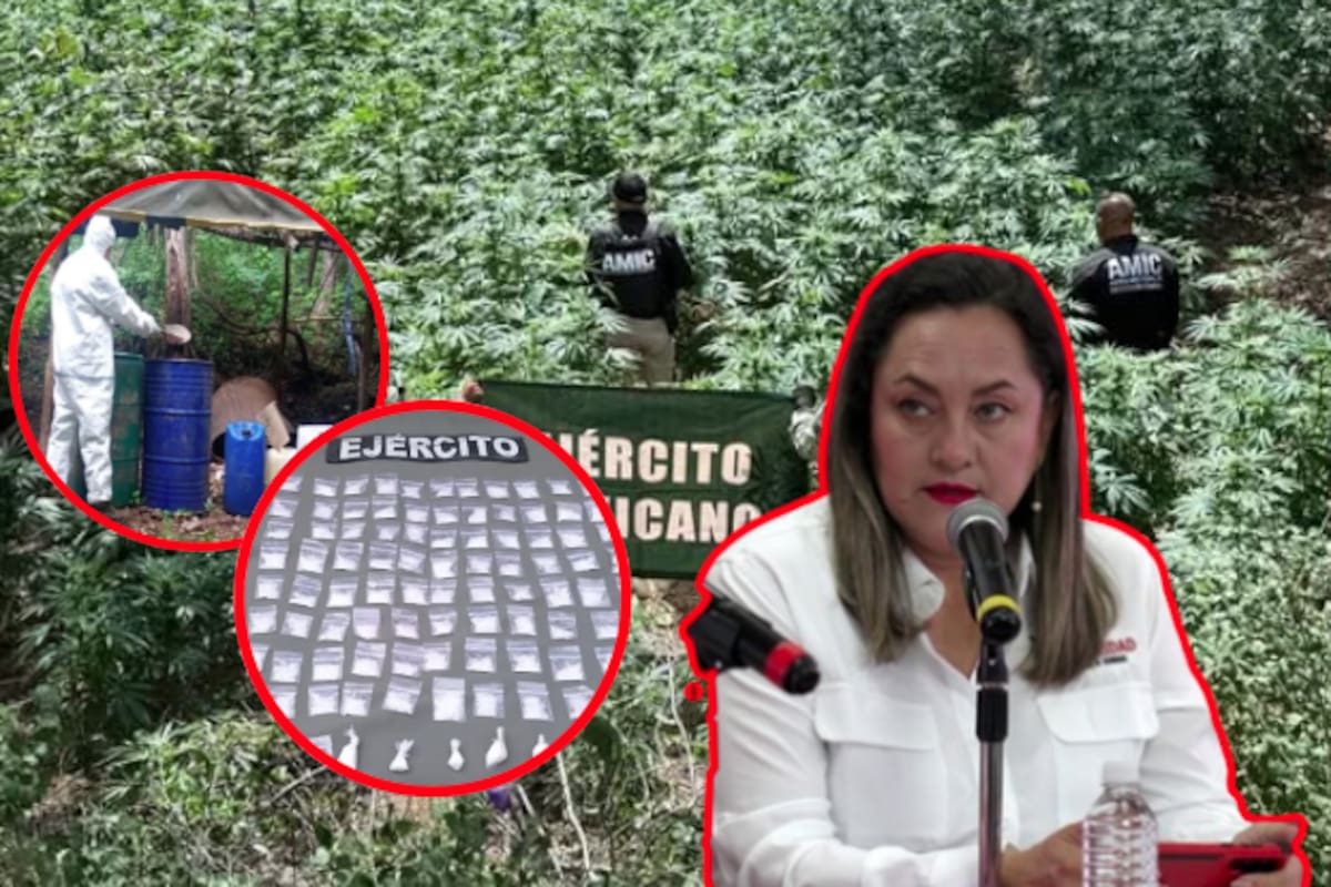 Explosivos, drogas y miles de armas: el año más violento en Sinaloa deja 1,703 detenidos y más de 6,000 plantíos destruidos