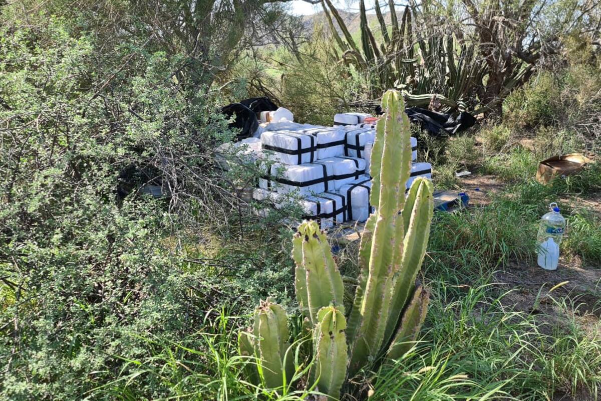 Narcotráfico en Sonora: Hallan en Caborca más de una tonelada de metanfetamina