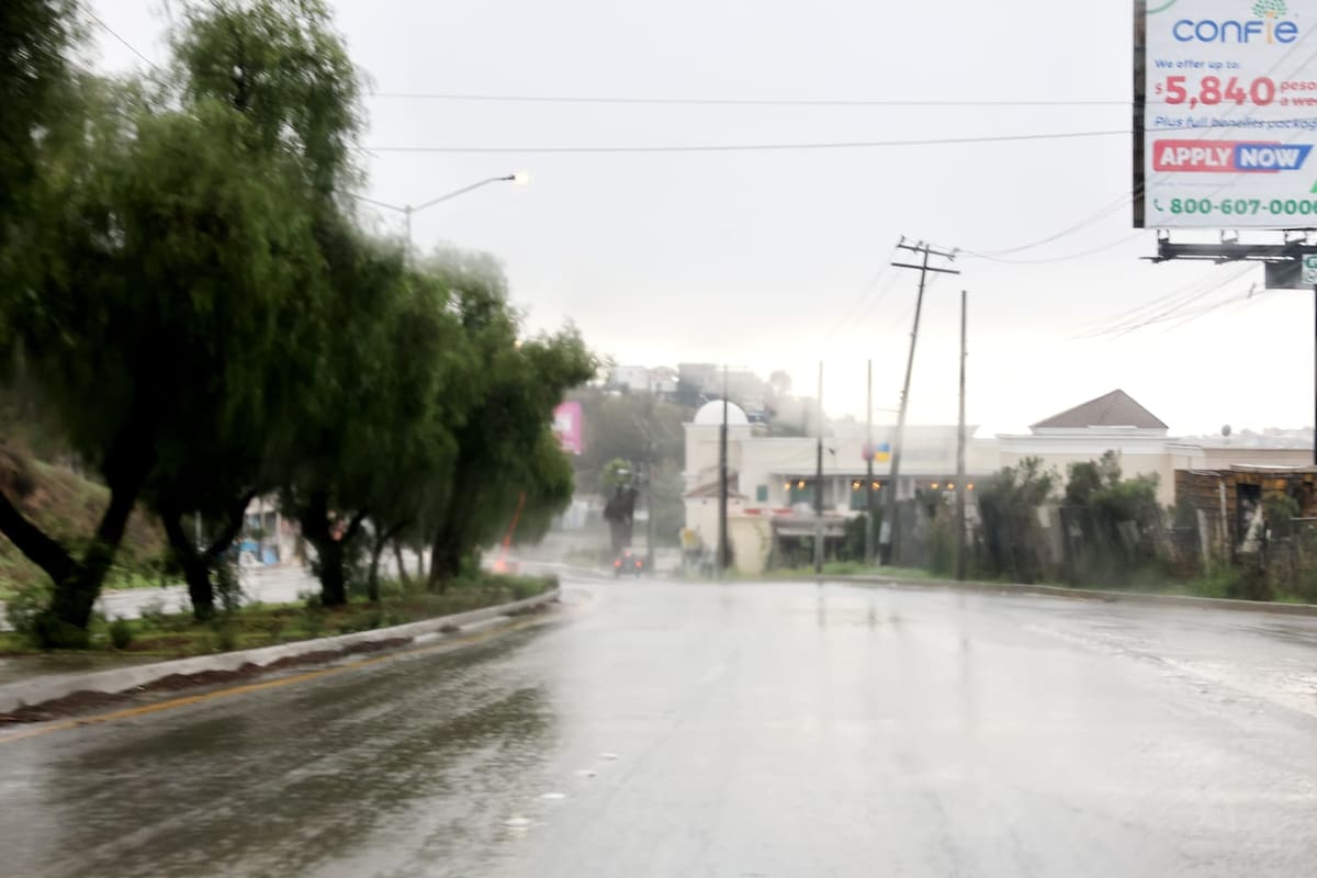 Lluvias de Año Nuevo provocan inundaciones y caída de árboles en Tijuana