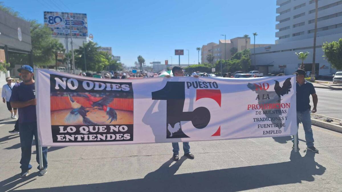 Galleros se preparan para manifestación pacífica rumbo al Congreso de Sonora