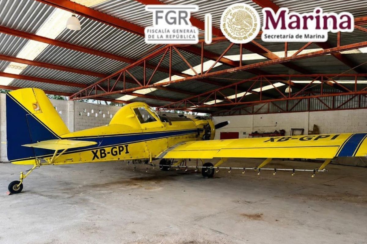 Investigación sobre traslado ilegal de hidrocarburos lleva al aseguramiento de una avioneta, más de 5 mil litros de combustible y un arsenal de armas en un rancho de Campeche