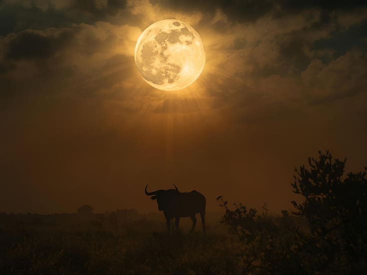 Súper Luna llena en Tauro: rituales sencillos para atraer buena suerte y estabilidad este noviembre