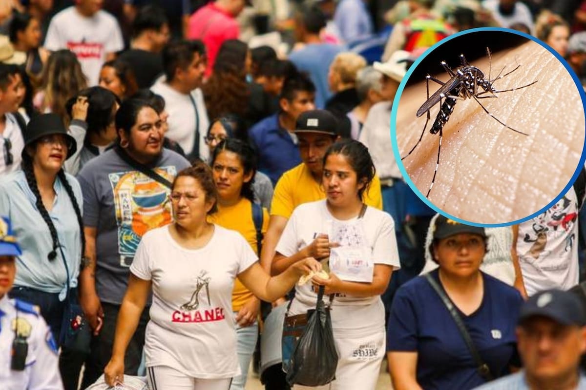 Crece 385% casos de dengue en México en semana epidemiológica