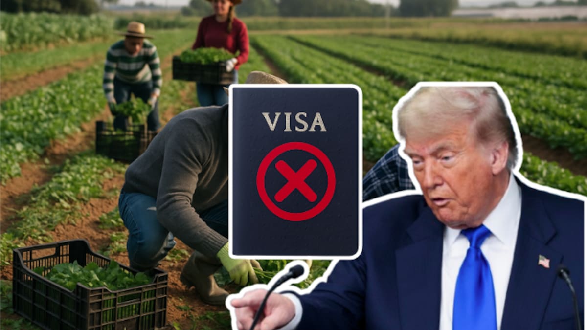 Trump acelera visas para trabajadores del campo pero cierra la puerta a indocumentados