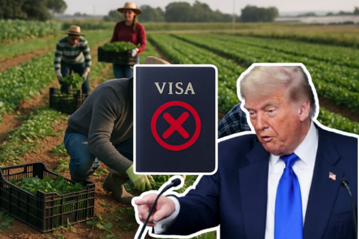 Trump acelera visas para trabajadores del campo pero cierra la puerta a indocumentados