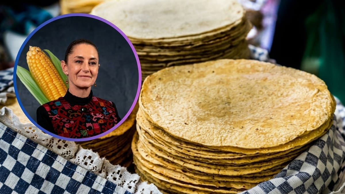 Claudia Sheinbaum lanza el programa “Comaleras Bienestar” para dotar de molinos y comales a mujeres rurales