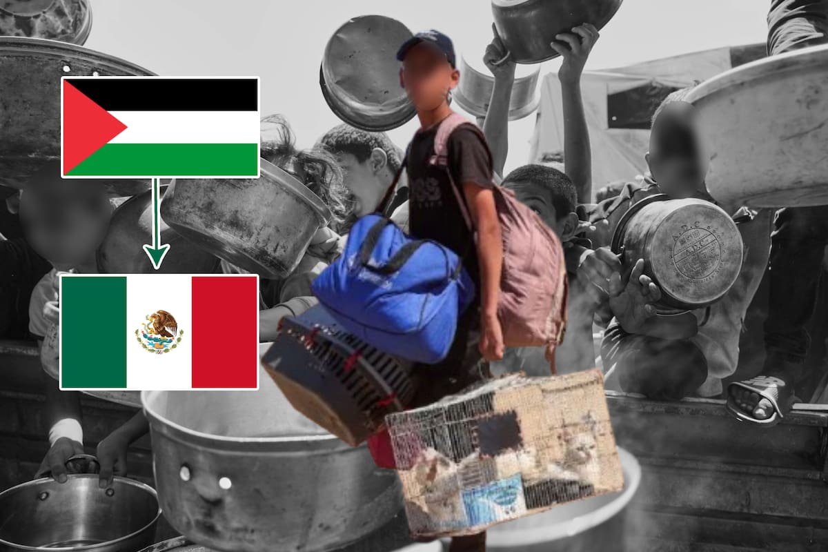 Traerán a México a niños de Palestina, señala embajadora y reconoce ayuda de Noroña