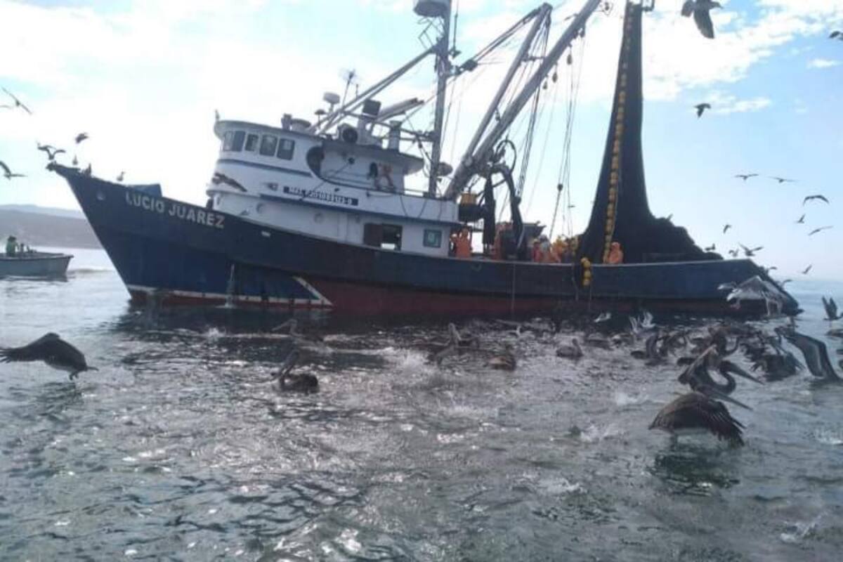 Pescadores de Eréndira denuncian destrucción de su equipo