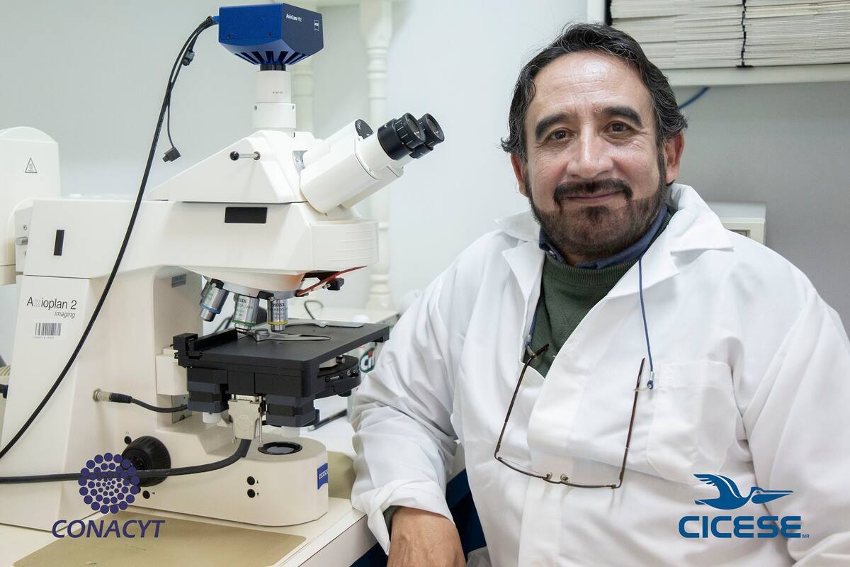 Investigador del Cicese recibe premio por su aportación a la acuacultura en México