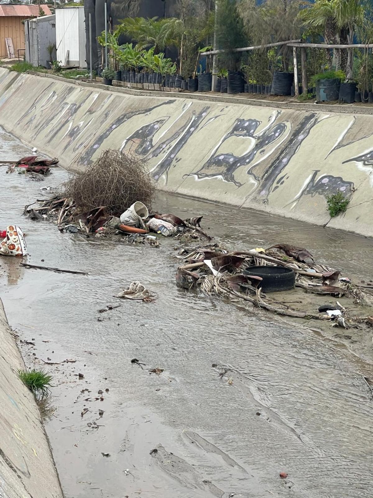 Foto: Carmen Gutiérrez
