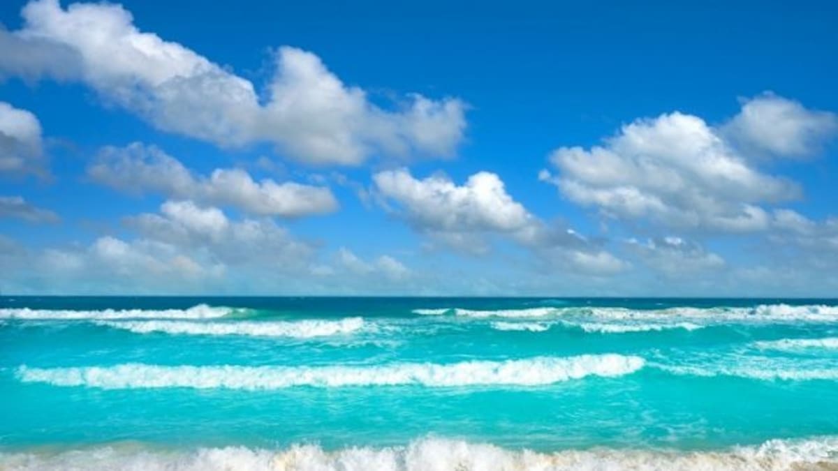 México vuelve a liderar las vacaciones navideñas: el país se posiciona como la primera elección para miles de viajeros estadounidenses, en una temporada donde el clima cálido y nuevas experiencias están marcando el ritmo del turismo internacional