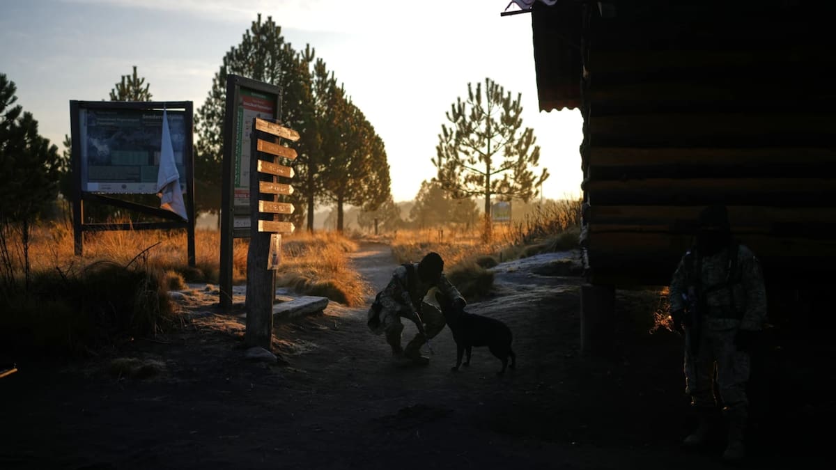 El entrenamiento de la unidad se desarrolla en condiciones extremas para preparar operaciones tácticas contra organizaciones criminales. /AP