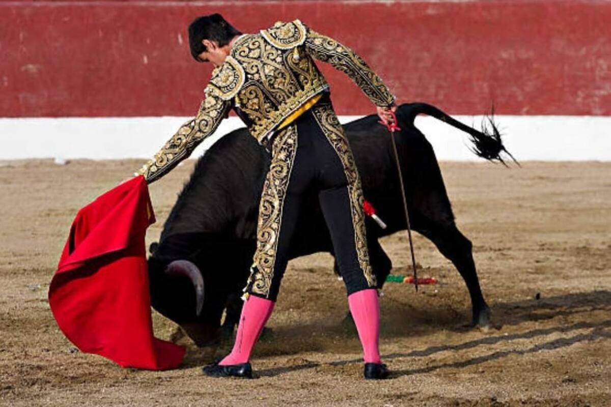 ¿Nuevas reglas? Brugada busca eliminar violencia en corrida de toros