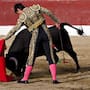 Abrogación del Reglamento Taurino genera debate jurídico en Tijuana