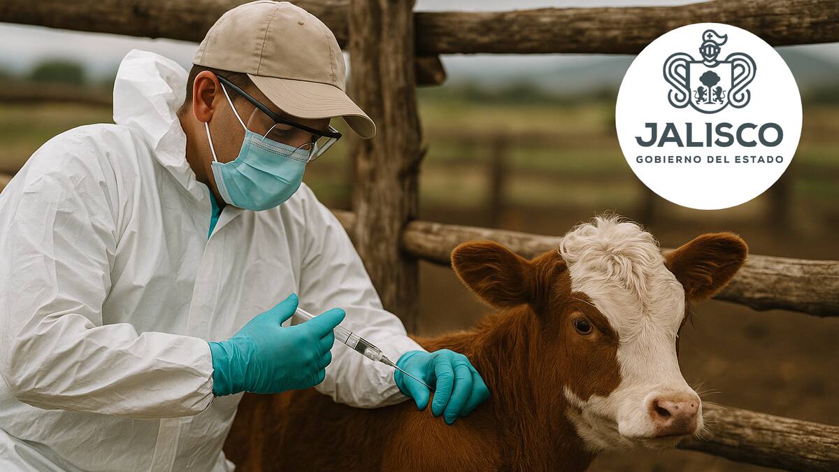 Autoridades aplican protocolo epidemiológico por rabia; revisan focos de contagio en animales