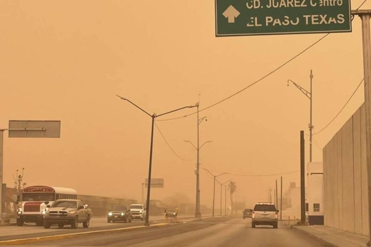 Fuertes vientos causan caída de árboles y fallas en suministros de energía eléctrica en Chihuahua