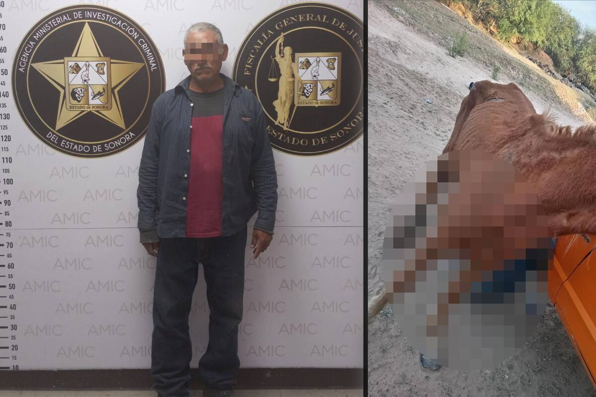 Luis Enrique ‘N.’ fue acusado de abuso animal, aunque en realidad se dedicaba a rescatarlos