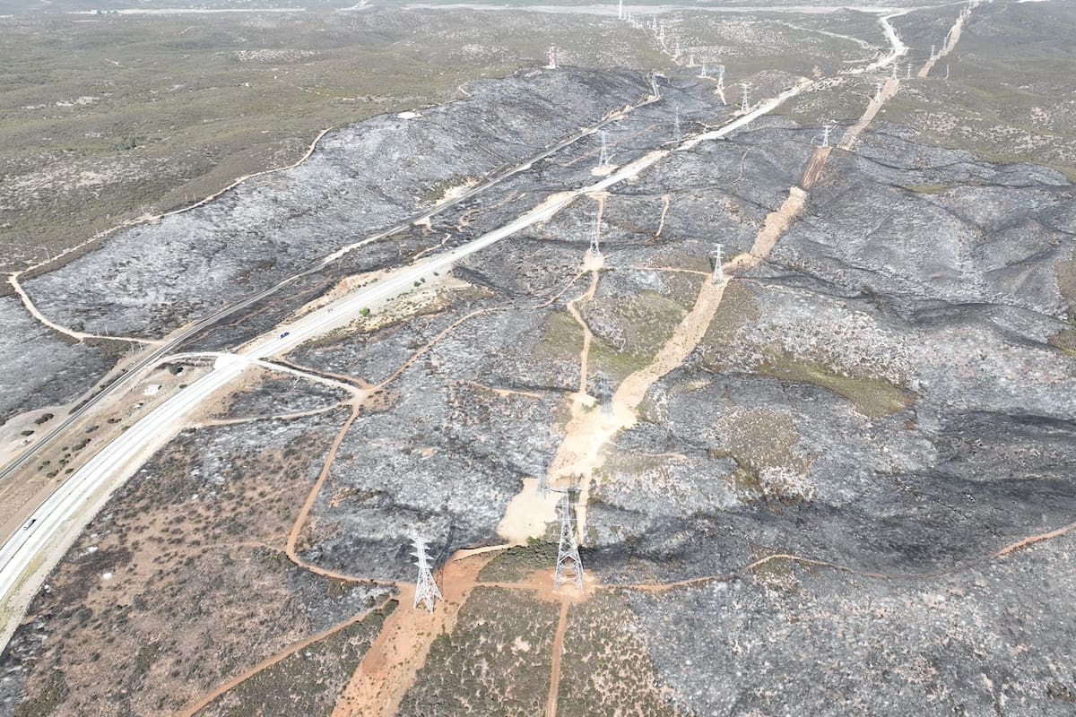 Apagan por completo incendio forestal en La Rumorosa