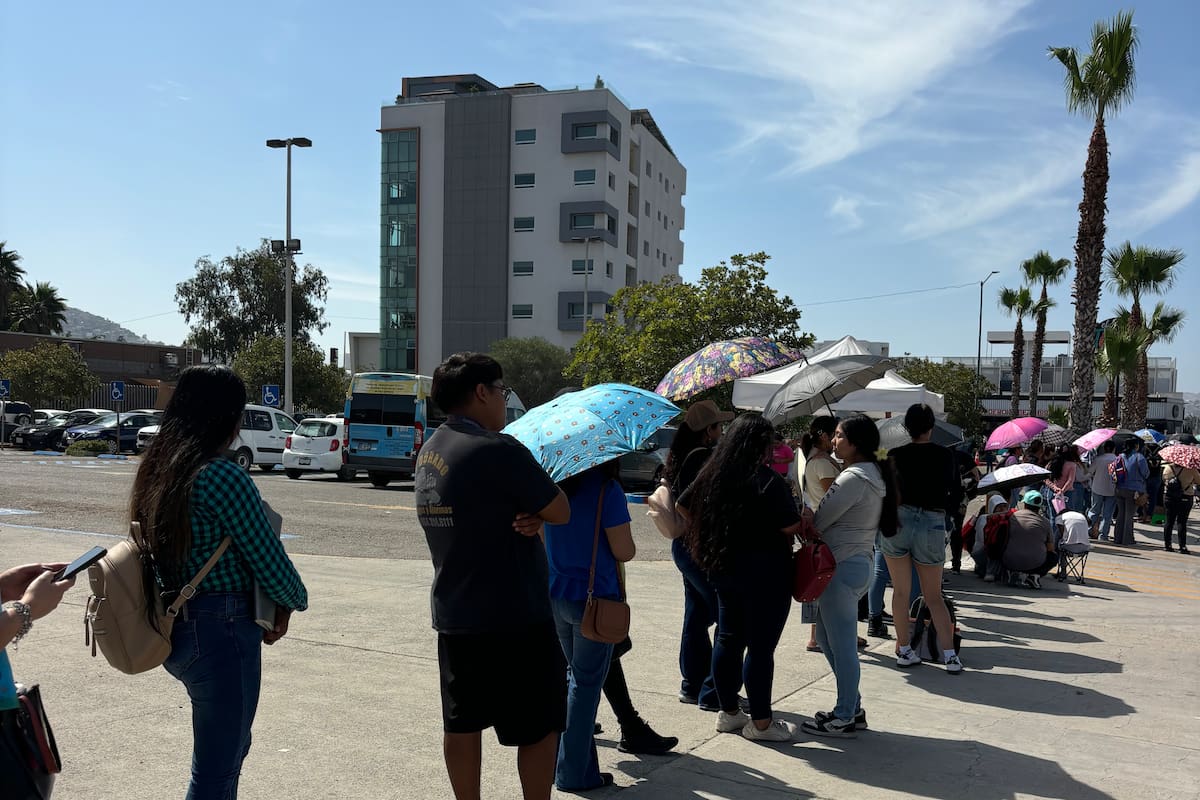 Persisten largas filas para tramitar la Tarjeta Violeta en Tijuana; mujeres esperan hasta 10 horas