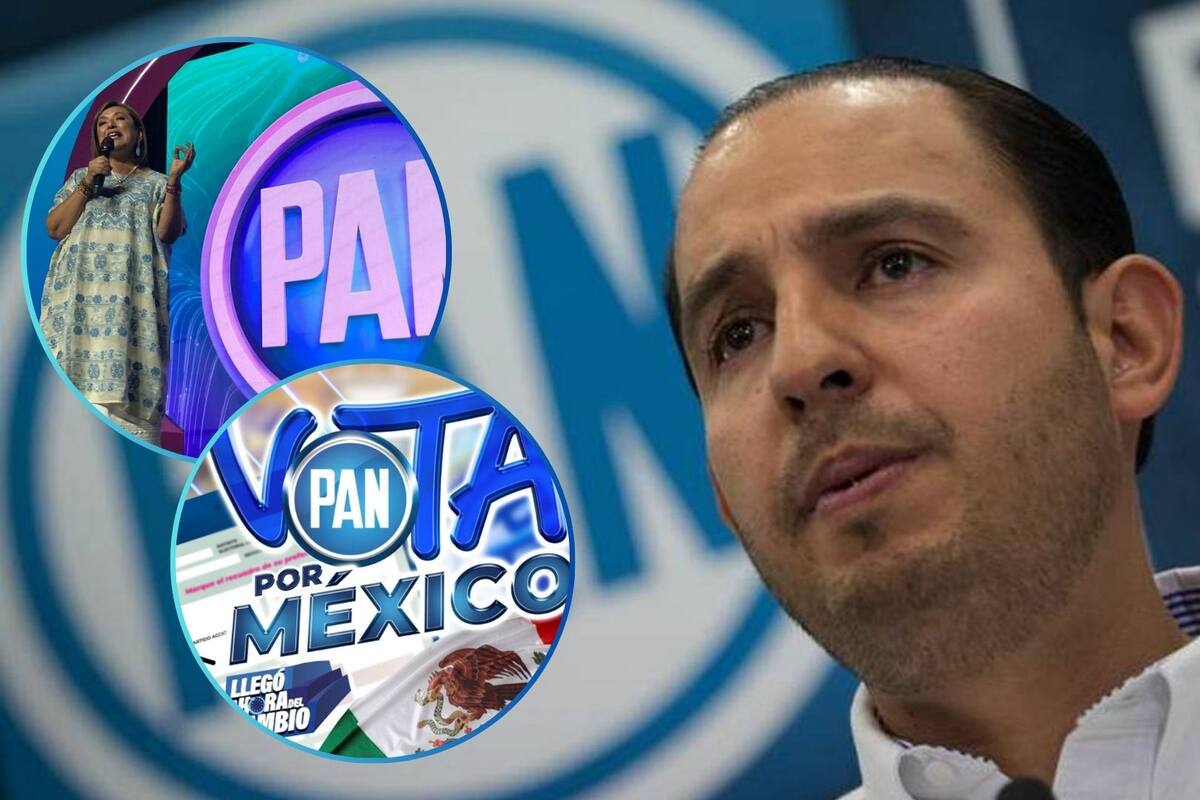 PAN llevará a cabo proceso de renovación de dirigencia