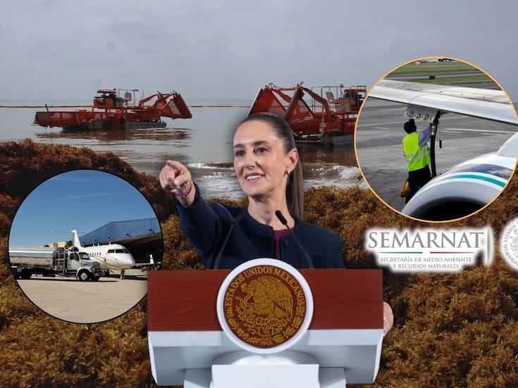 Récord histórico de sargazo en el Mar Caribe: más de 38 millones de toneladas avanzan hacia México y el sur de Estados Unidos, reporta Associated Press, con impacto en playas de Cancún, la Riviera Maya y Florida