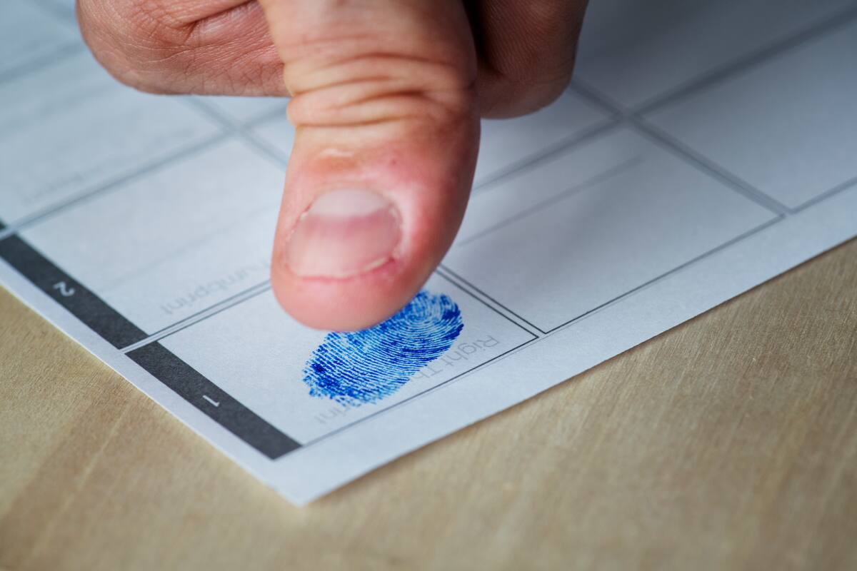 Estas son las promociones que tendrán varios restaurantes en México para aquellos usuarios que voten el 2 de junio