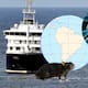 Pareja bajo investigación por brote de hantavirus en un crucero había recorrido latino américa; estos son los países en alerta