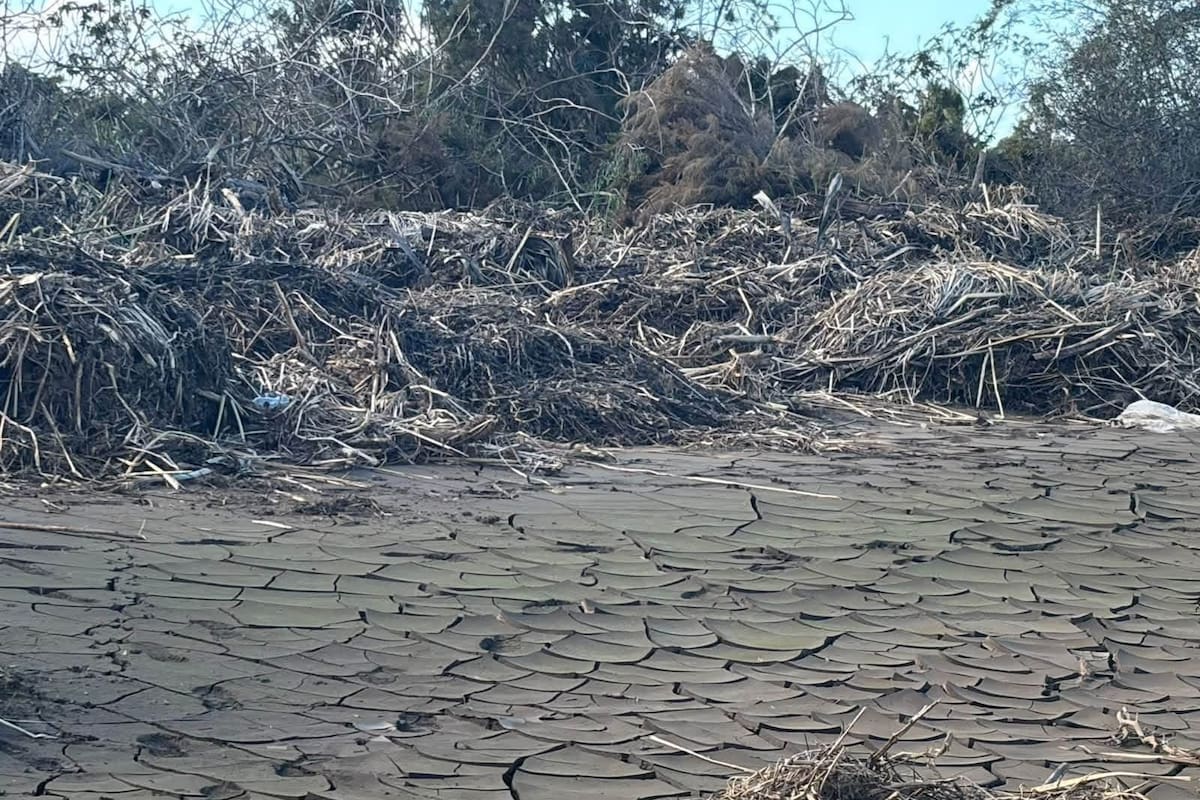 Suman diez cuerpos localizados en Maneadero tras tormenta Rachel