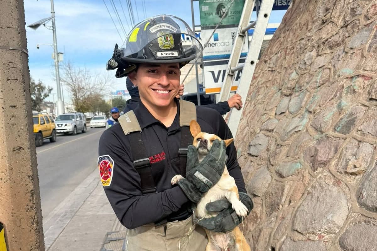 Bomberos rescatan a canino atrapado en la parte superior de una barda en Nogales
