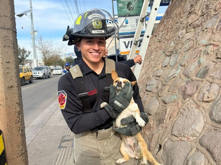 Bomberos rescatan a canino atrapado en la parte superior de una barda en Nogales