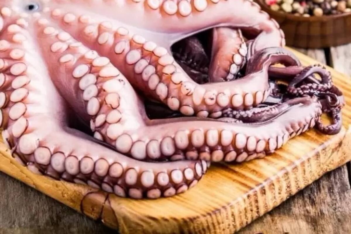 VIRAL: Mujer descubre extrañas características de un “pulpo” que resultó ser un calamar Humboldt
